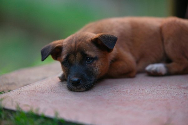 What are the top color trends for UK interiors this year?