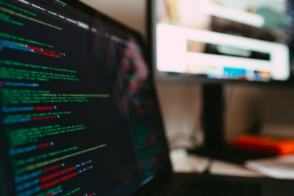 What are the best ways to exercise your pet in UK cities?